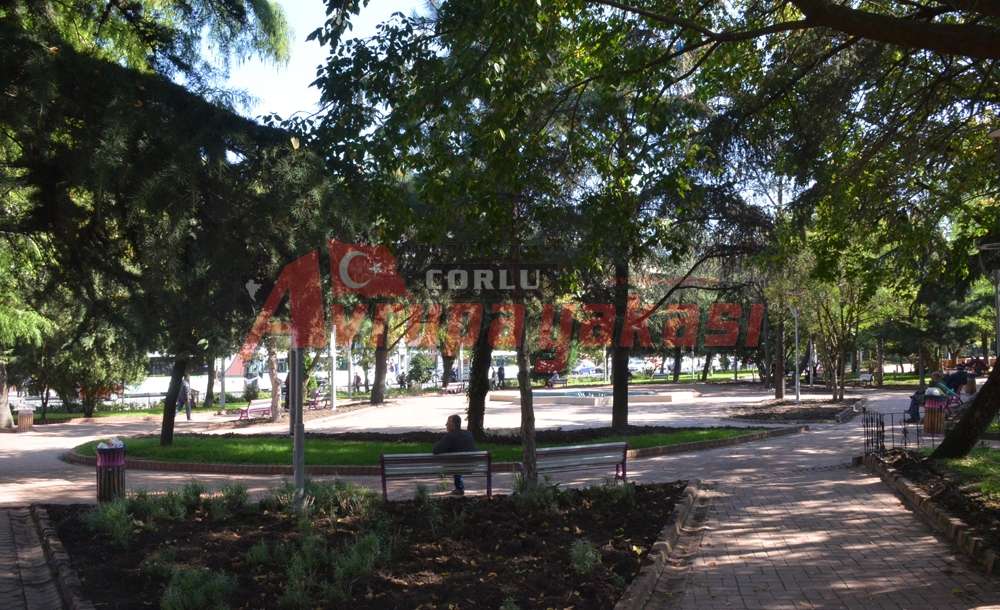 Atatürk Meydanı'ndaki Parka Düzenleme