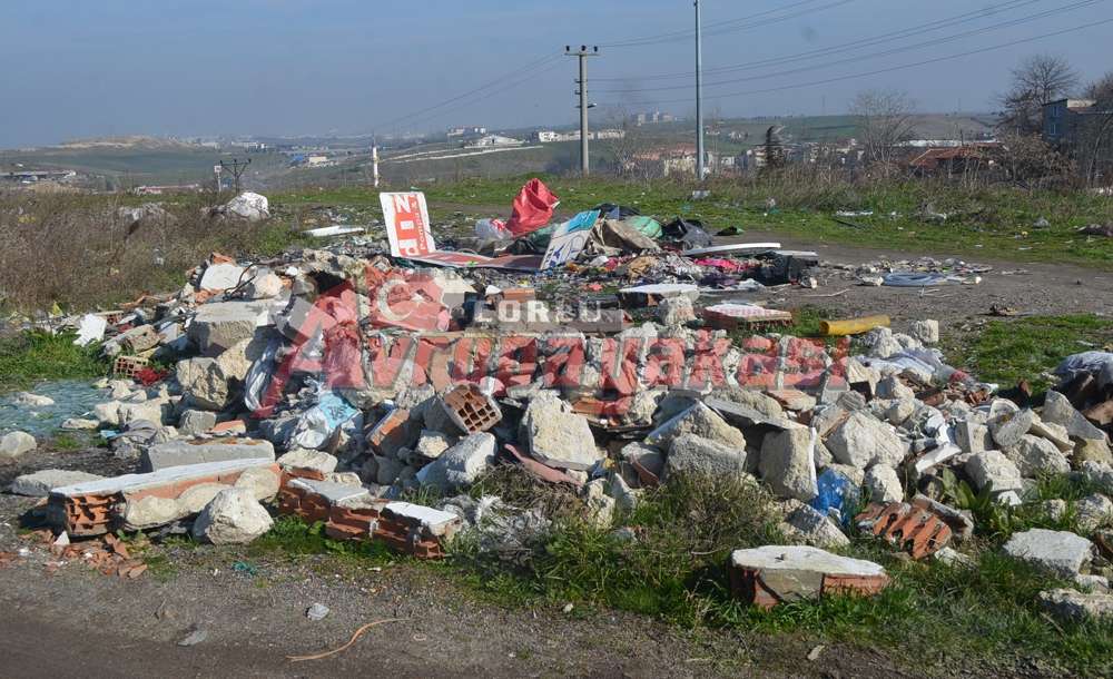 3 Bin Yıllık Tarih, İlgi Bekliyor