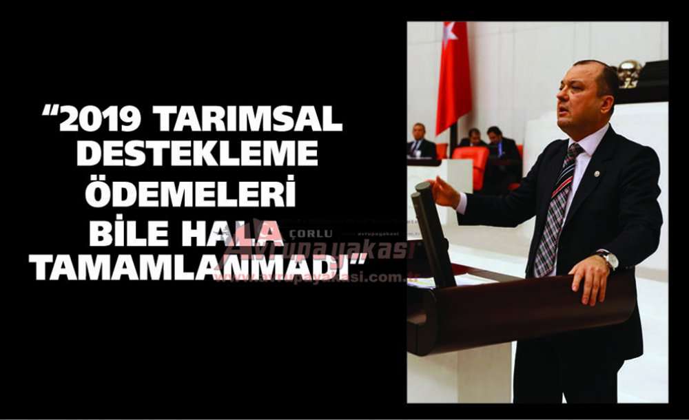 Chp Tekirdağ Milletvekili Dr. İlhami Özcan Aygun:  “2019 Tarımsal Destekleme Ödemeleri Bile Hala Tamamlanmadı”