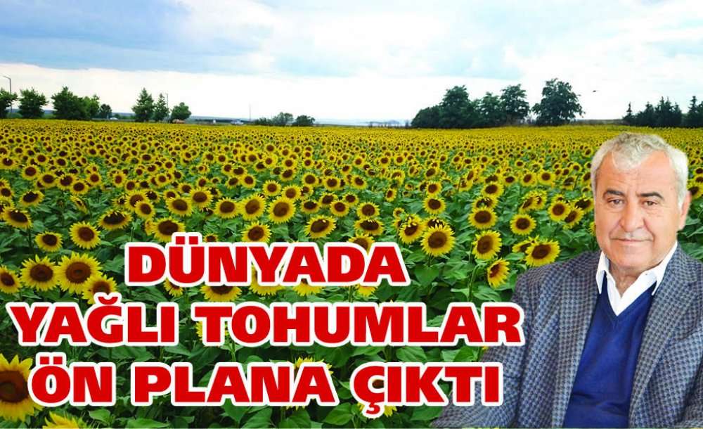 Dünyada Yağlı Tohumlar Ön Plan Çıktı