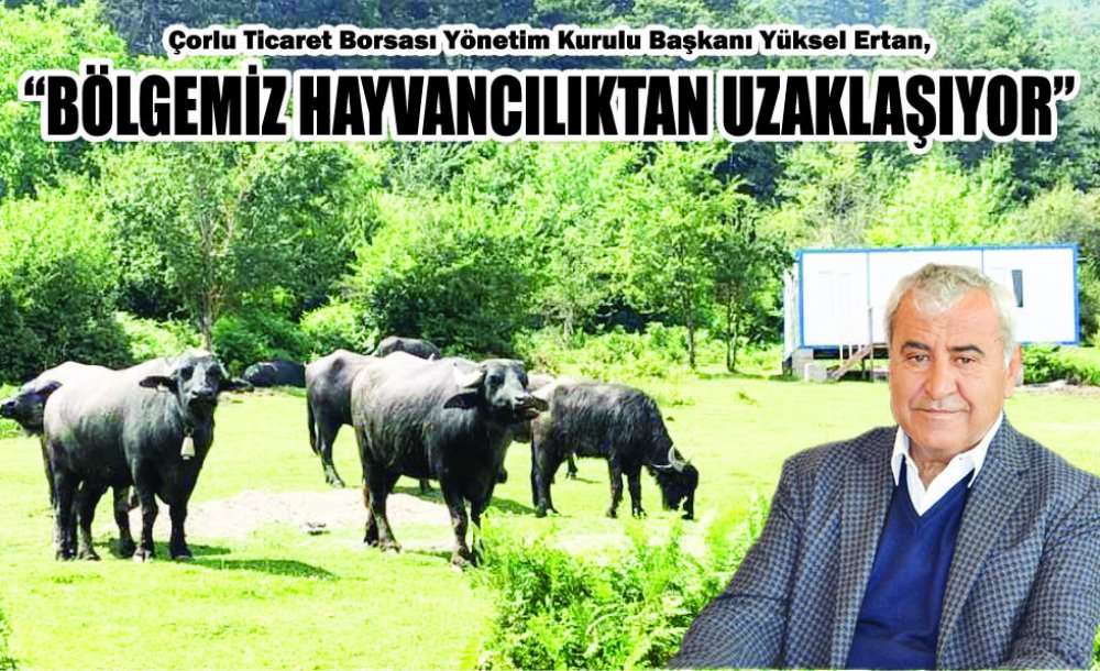 “Bölgemiz Hayvancılıktan Uzaklaşıyor”