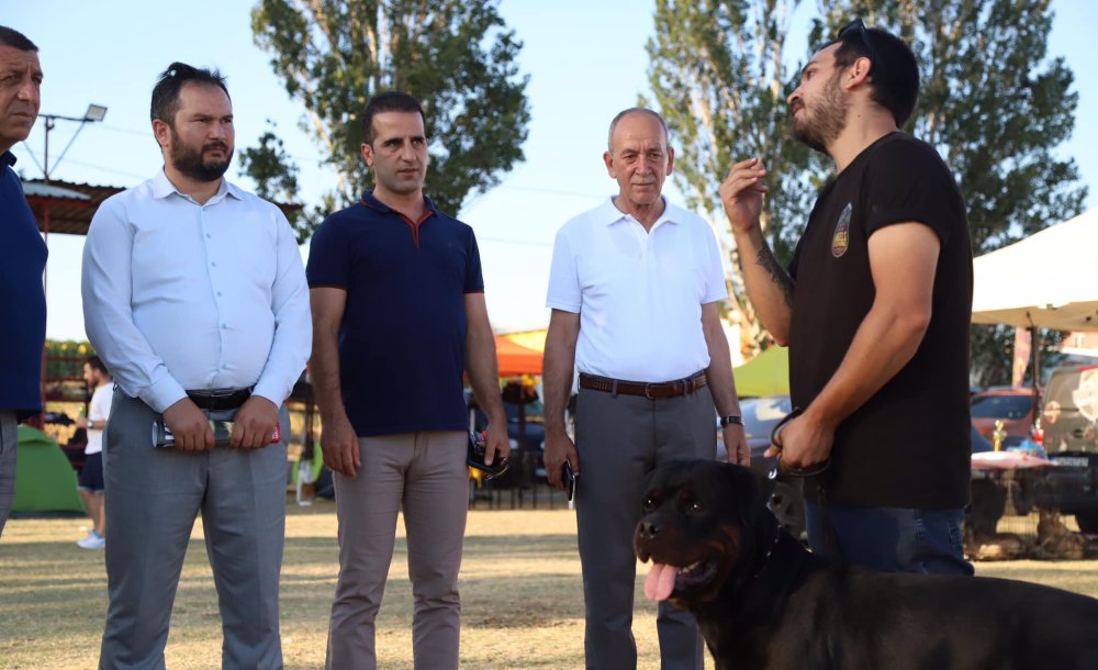 Marmaraereğlisi'nde Köpekler İçin Yarışma Düzenlendi
