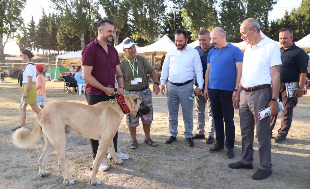 Marmaraereğlisi'nde Köpekler İçin Yarışma Düzenlendi