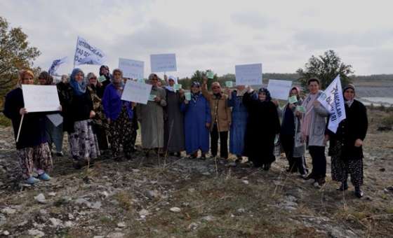 Keçili, Koyunlu, Inekli Taş Ocağı Tepkisi