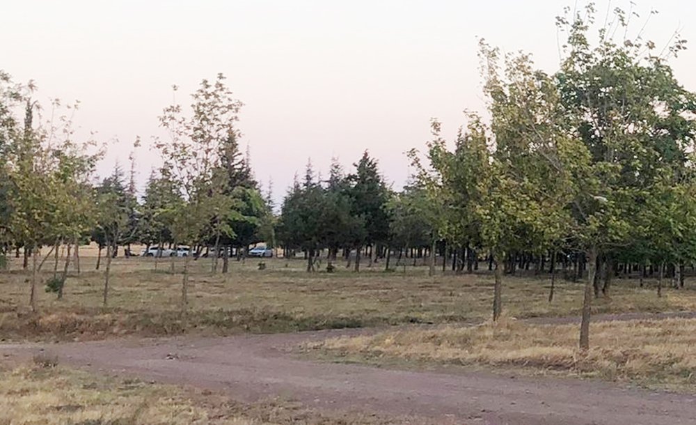 Tema Parkı Vali Soytürk'ün Dikkatini Çekti