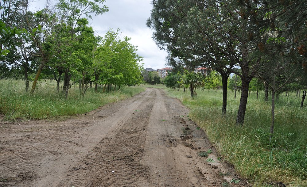 Tema Parkı Vali Soytürk'ün Dikkatini Çekti