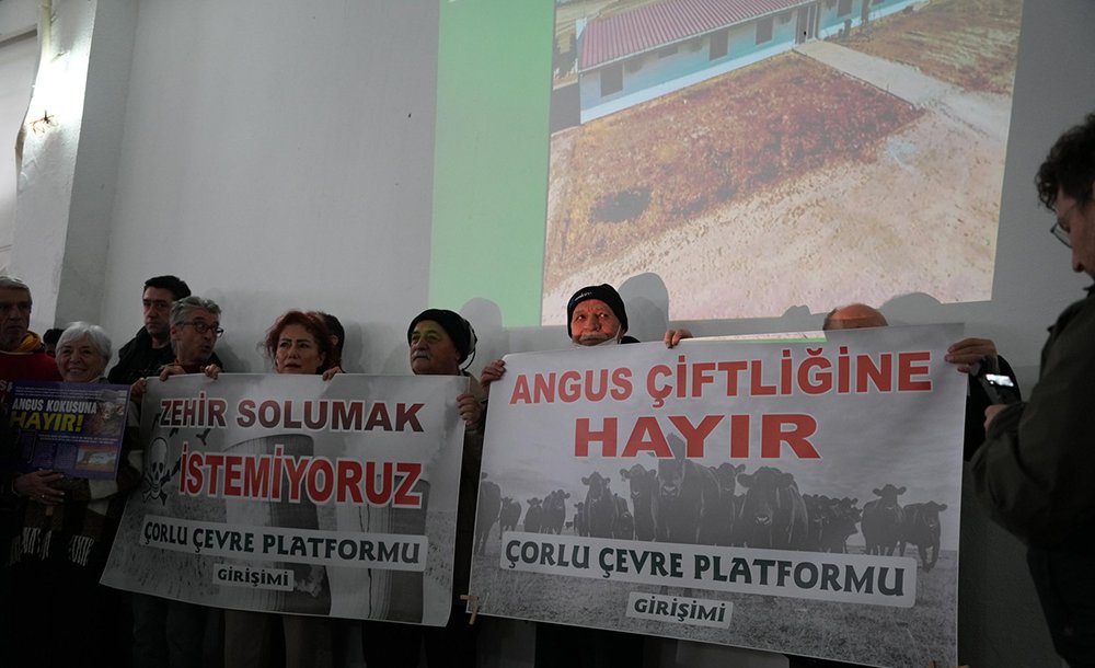 Angus Çi̇ftli̇ği̇ne ‘Hayir' Deni̇ldi̇ 
