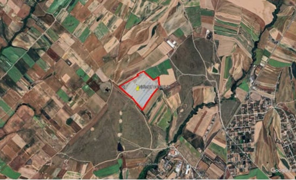 Angus Kokusuna Hayir!