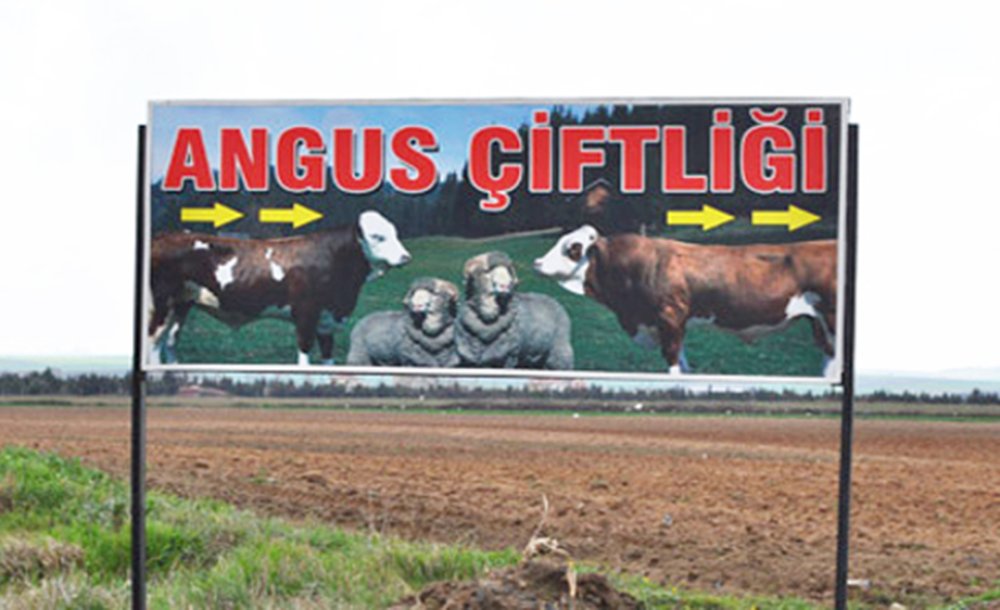 Angus Kokusuna Karşı;  Çorlu Çed Toplantisina Odaklandi 