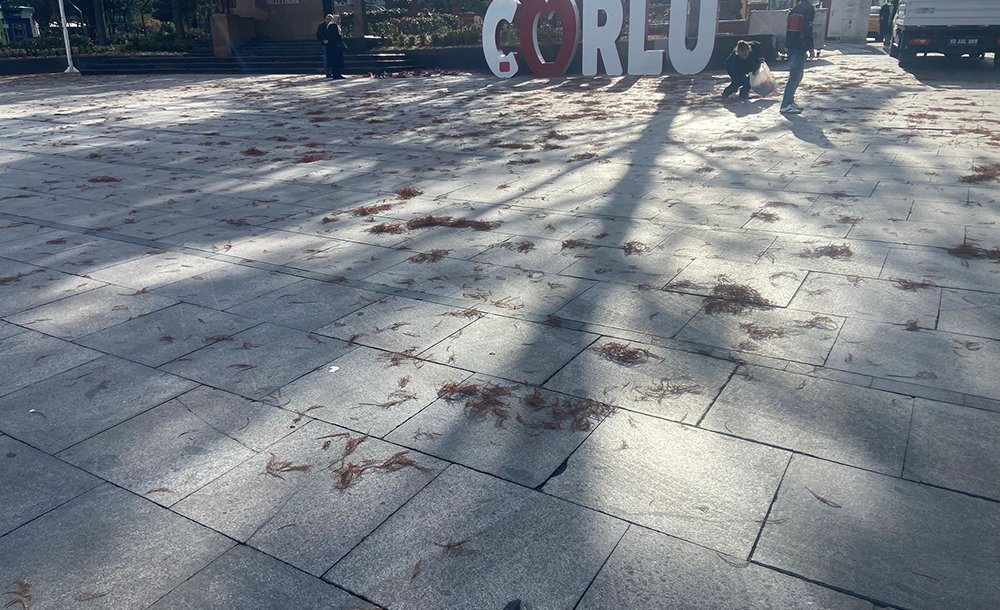 Atatürk Meydani'ndaki̇ Bu Görüntü Tepki̇ Çekti̇ 