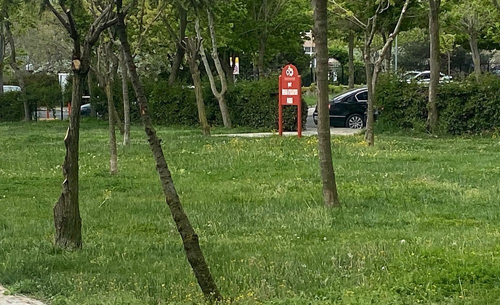 Baharın Gelmesiyle Parklar Yeşile Büründü