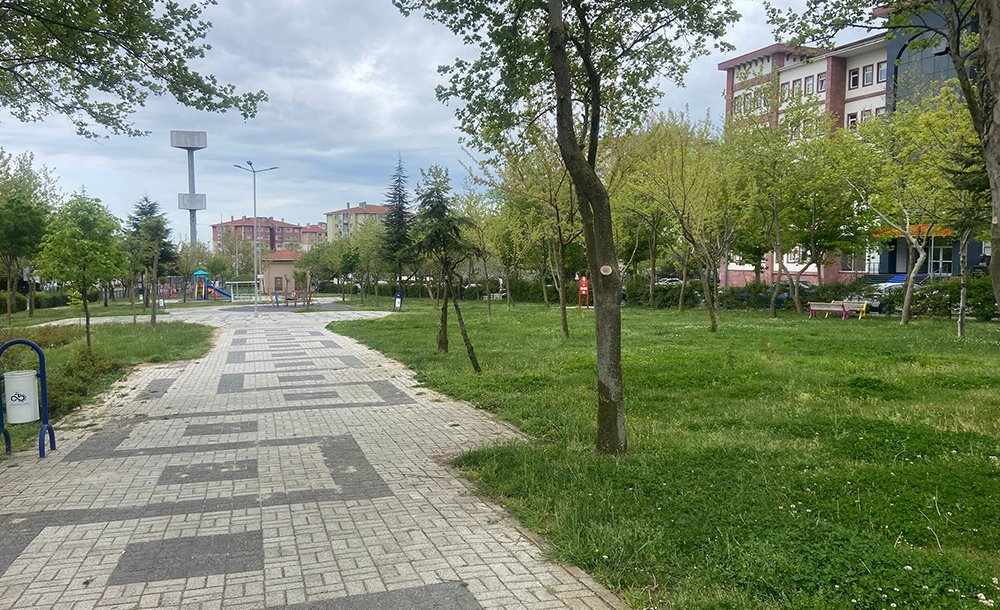 Baharın Gelmesiyle Parklar Yeşile Büründü