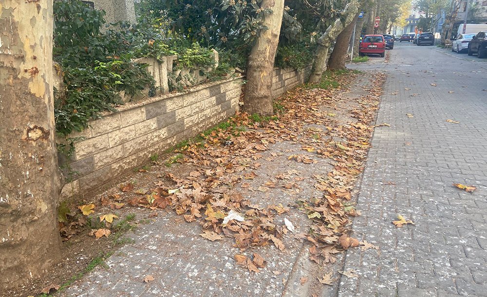 Bahçelievler Sakinleri Temiz Bir Çevre İstiyor  