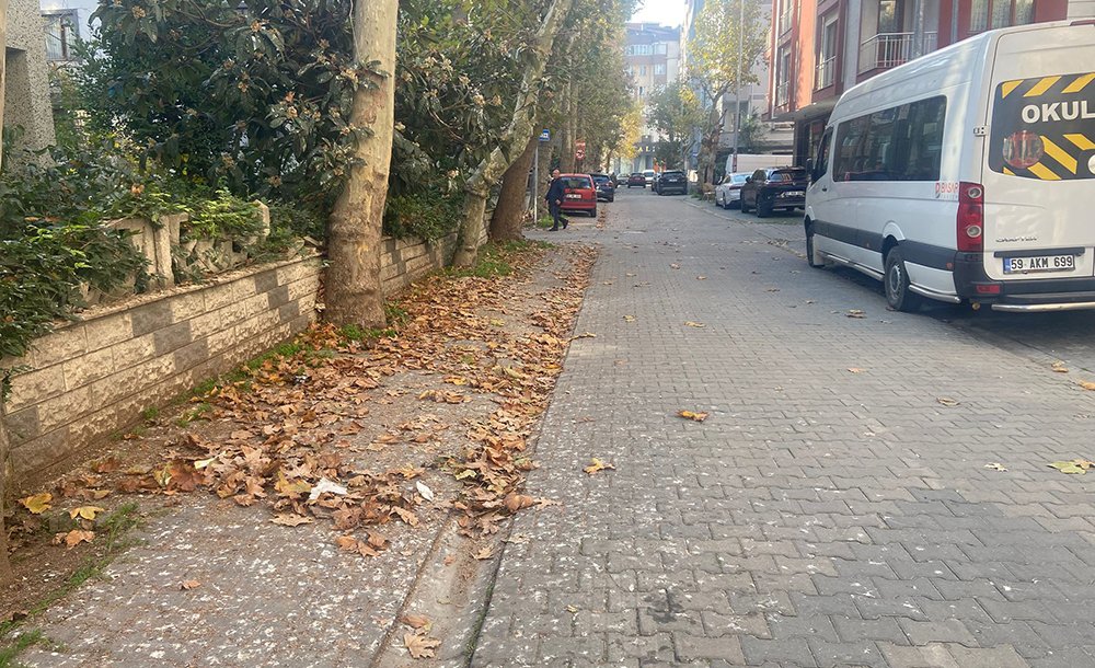 Bahçelievler Sakinleri Temiz Bir Çevre İstiyor  