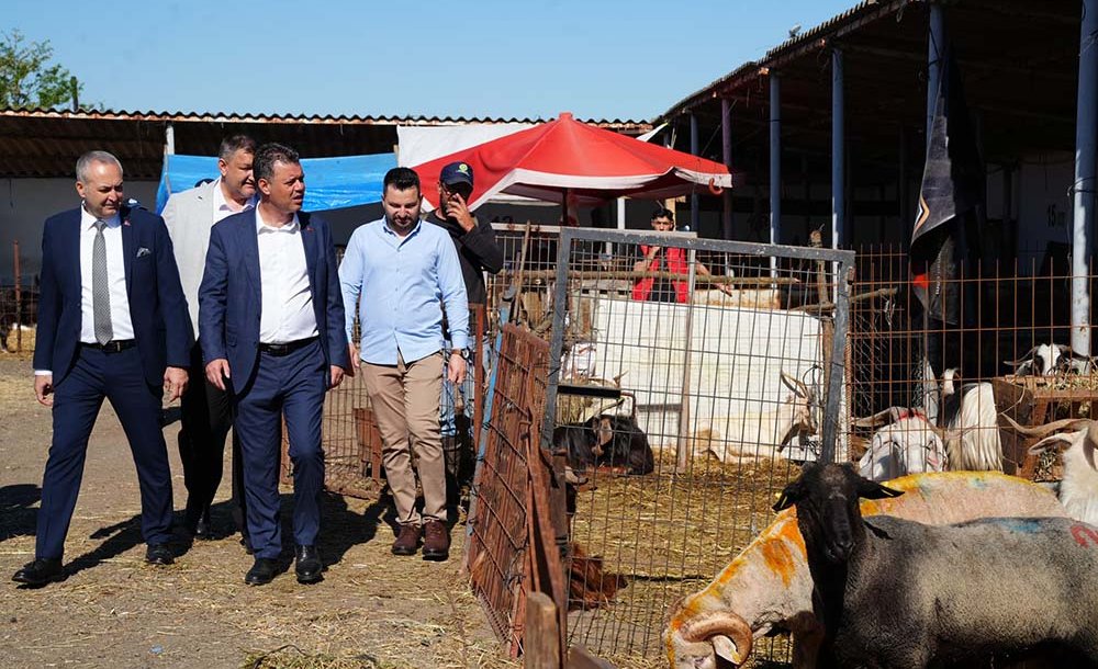 Başkan Sarıkurt'tan Kurban Pazarı Ve Mezbaha Ziyareti