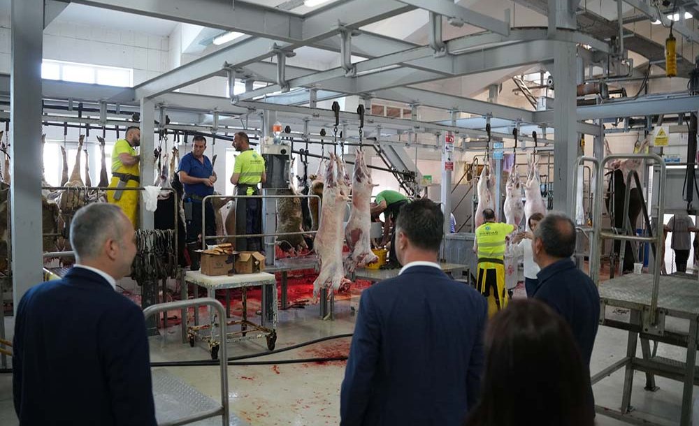 Başkan Sarıkurt'tan Kurban Pazarı Ve Mezbaha Ziyareti