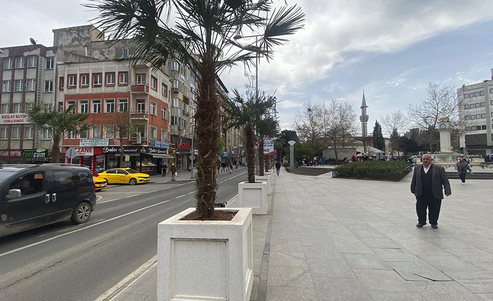 Belediyeden Meydana Palmiye Dokunuşu!