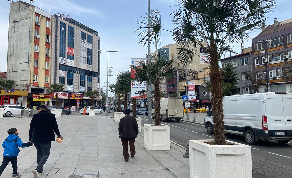 Belediyeden Meydana Palmiye Dokunuşu!