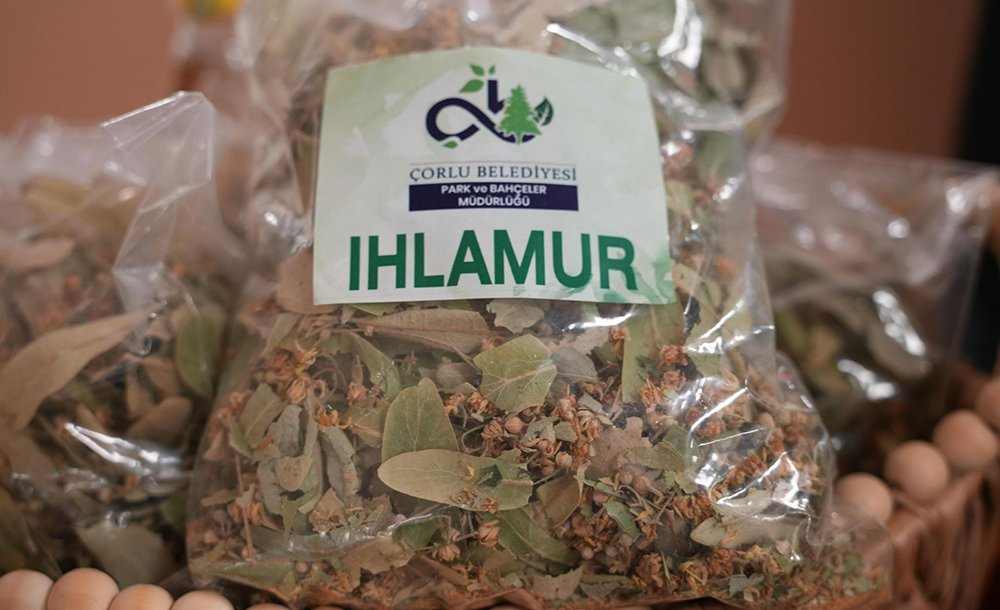 Bitkisel Üretim Merkezi'nde 2025 Bereketi