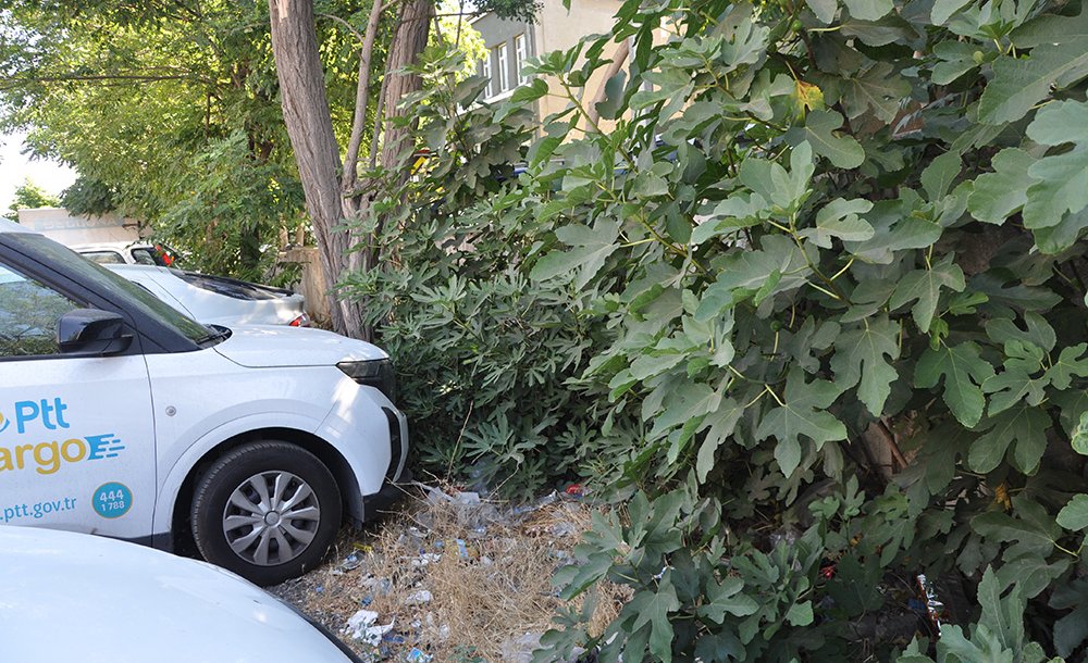 Bölge Halkından Emniyete Teşekkür 