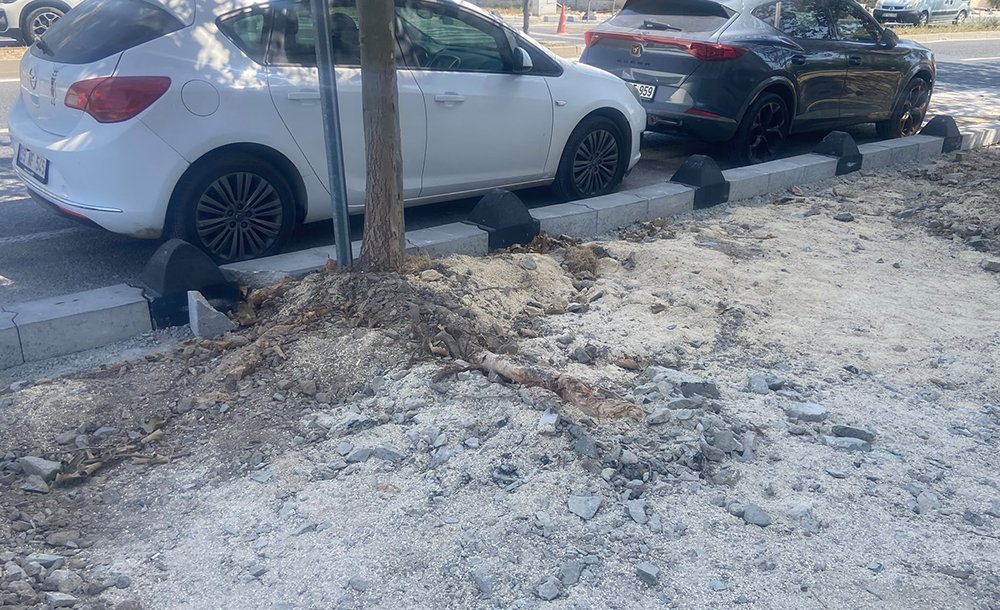“Böyle Çalişma Olmaz”