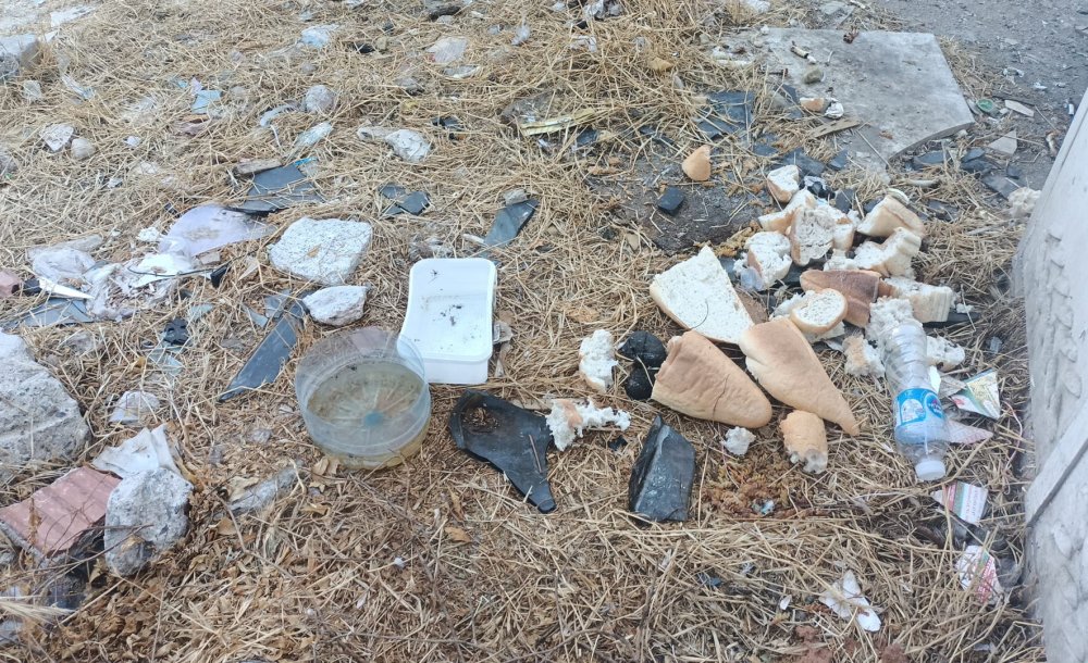 Bu Görüntüler Çorlu'ya Yakışmıyor 