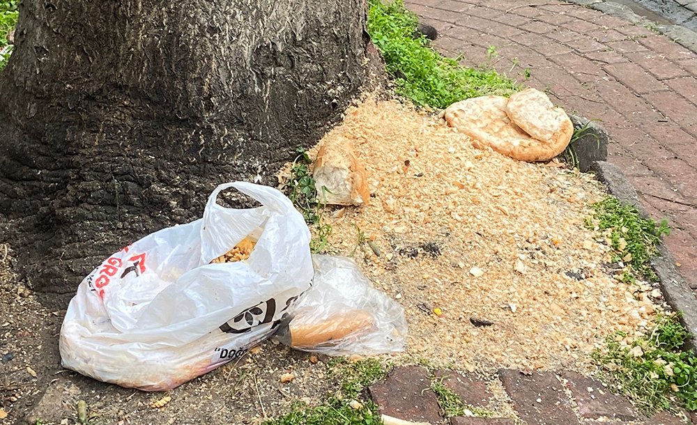 Bu Görüntüler Tepki Çekiyor 