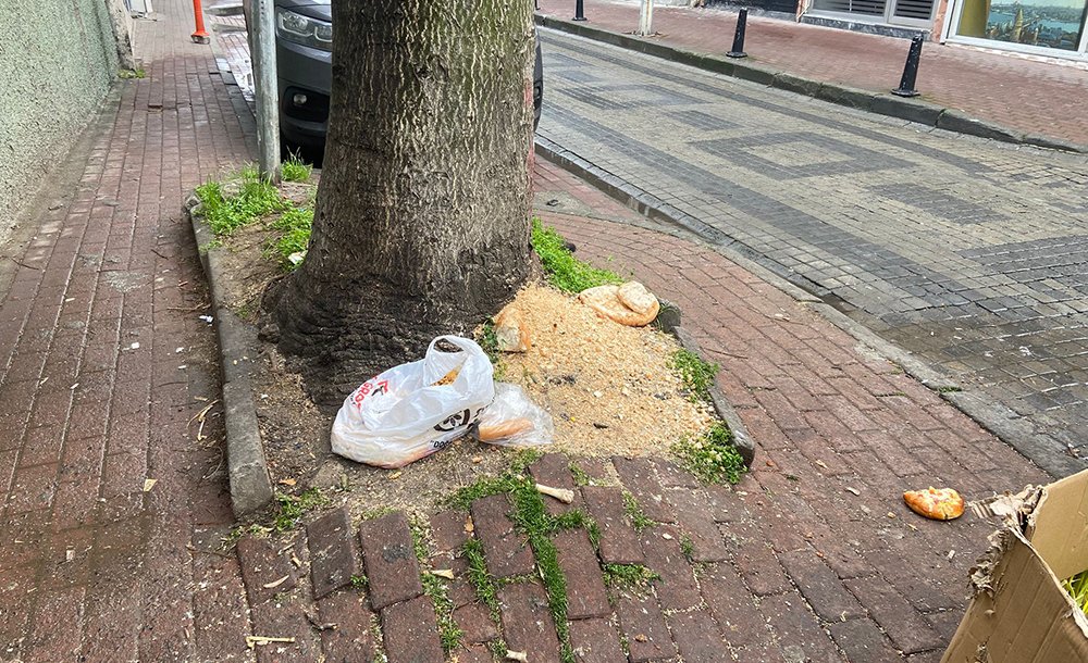 Bu Görüntüler Tepki Çekiyor 
