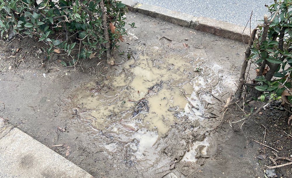 Bulvardaki Refüjler Düzenleme Bekliyor