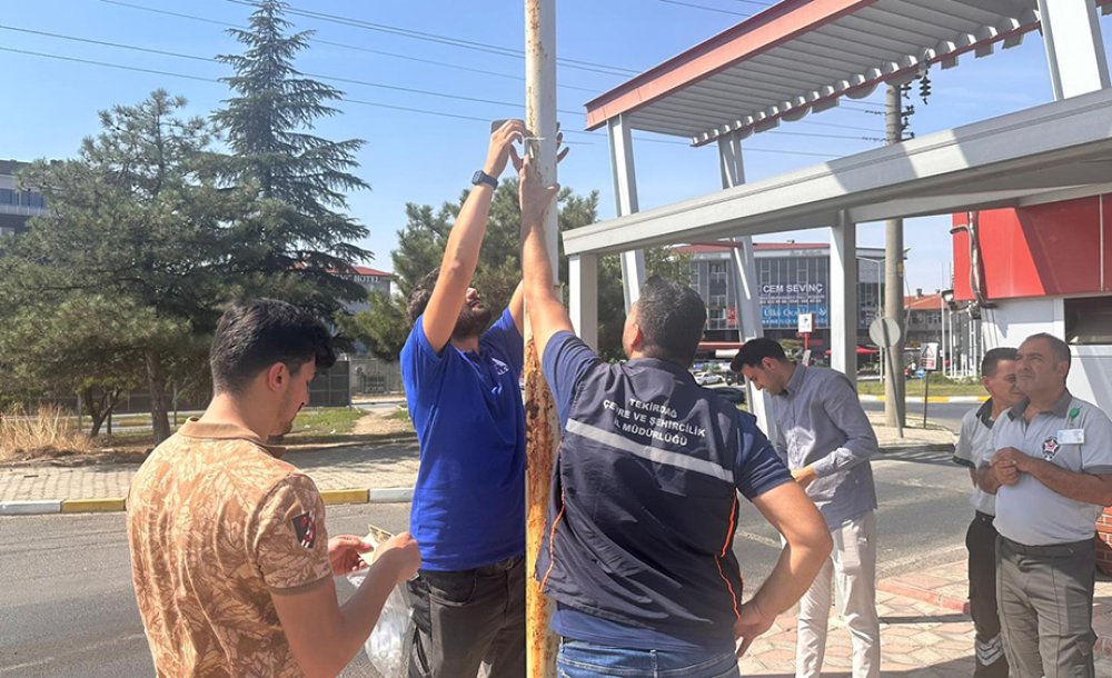 Çevre Sorunlarına Karşı Müdürlük Teyakkuzda 