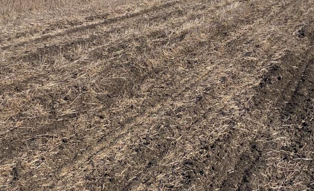 Çiftçilerden Maliyet Düşüren Yeni Deneme: