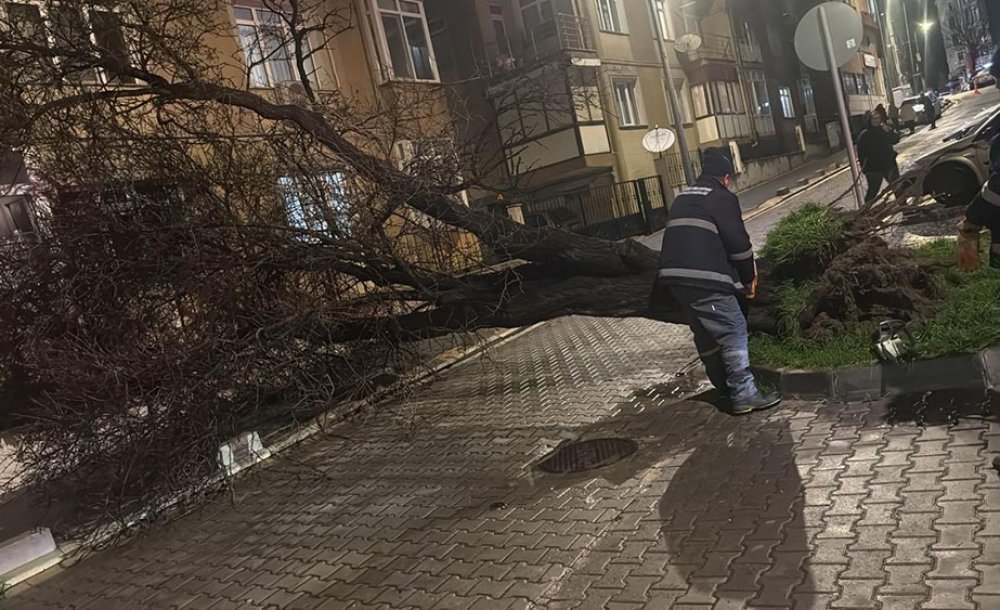 Çorlu Belediyesi Fırtınaya Karşı Teyakkuzdaydı