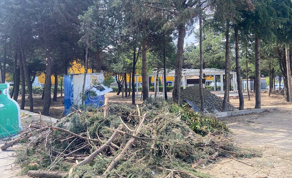 Çorlu Belediyesi'nden Yeni Kafe Projesi