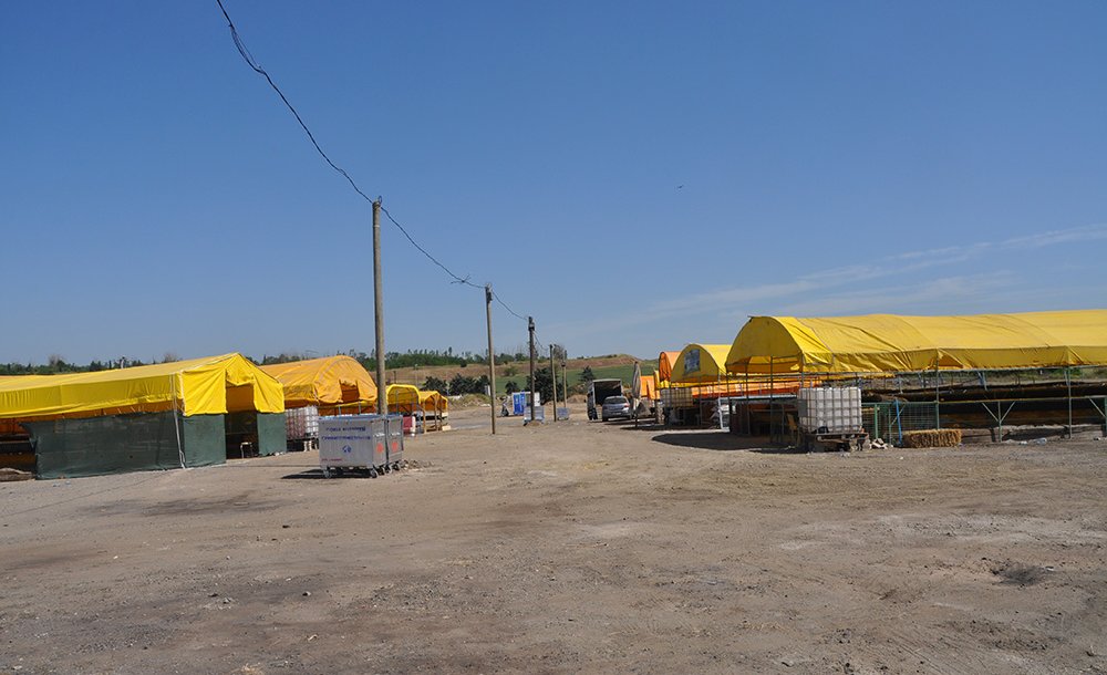 Çorlu'da Kurban Pazarı Açıldı