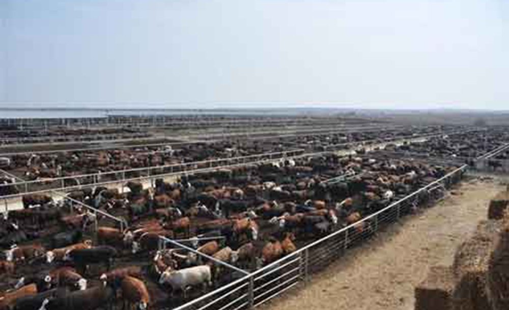 Çorlu'nun Kaderi Bu Olamaz!