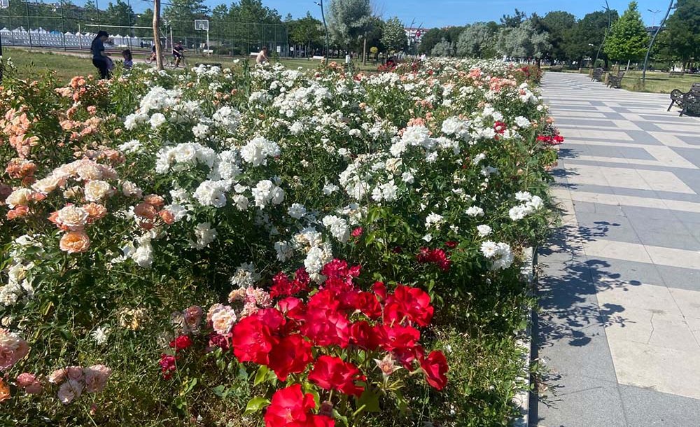 Cumhuriyet Parkı Rengârenk 