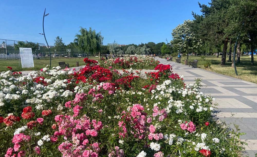 Cumhuriyet Parkı Rengârenk 