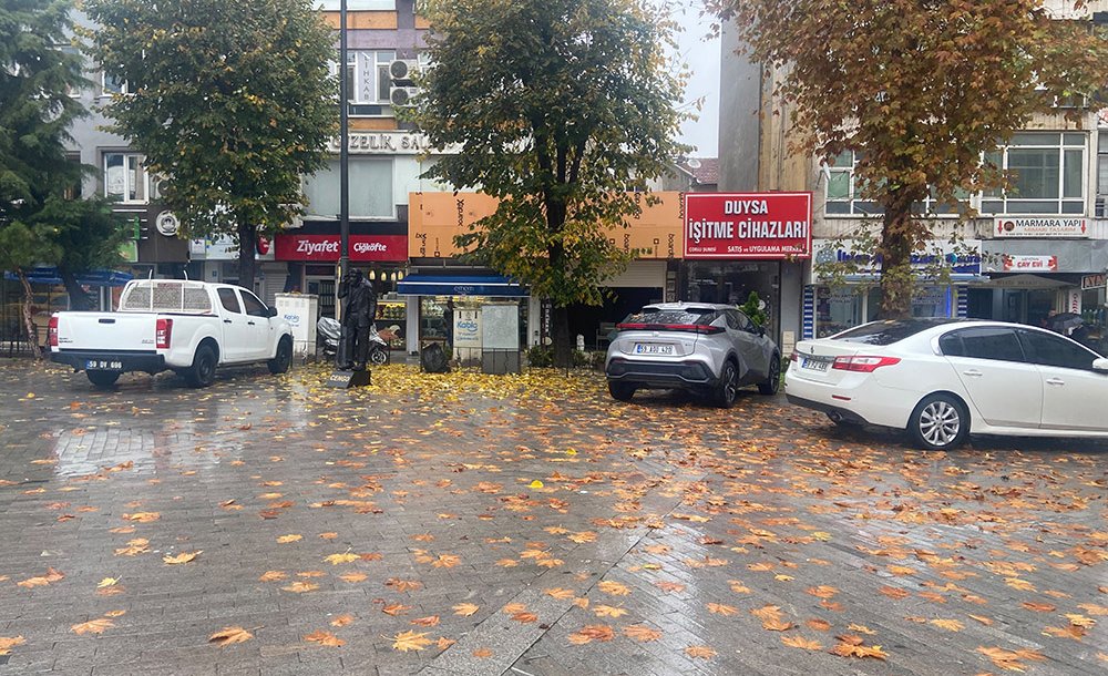 Dökülen Yaprakların Temizlenmesi Bekleniyor