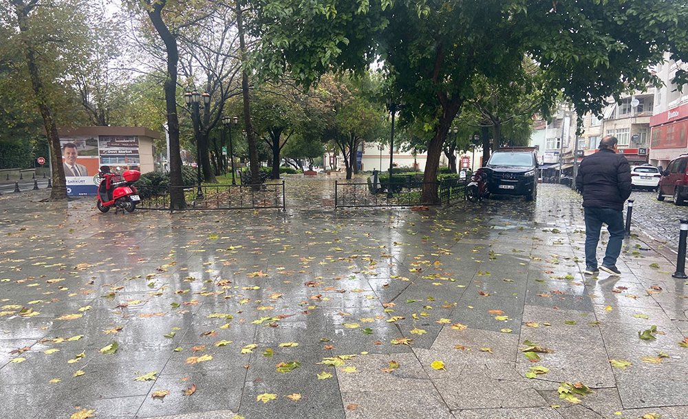 Dökülen Yaprakların Temizlenmesi Bekleniyor
