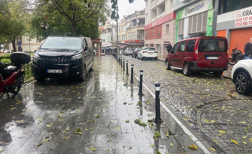Dökülen Yaprakların Temizlenmesi Bekleniyor