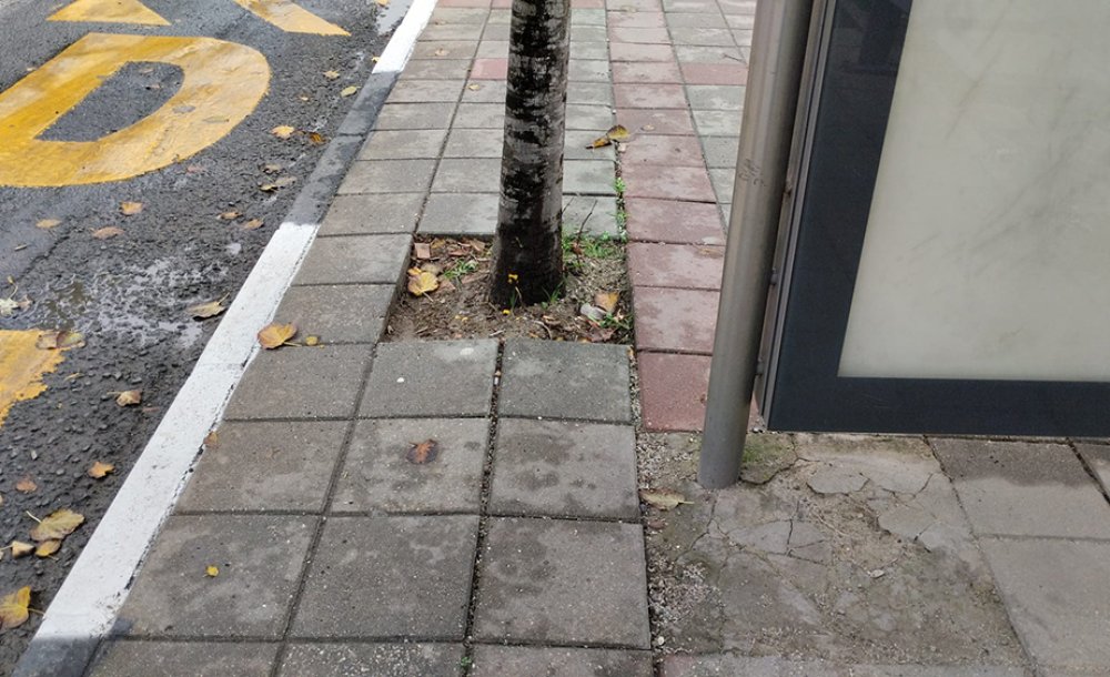 Engelli Vatandaşlar Nasıl Geçsin?