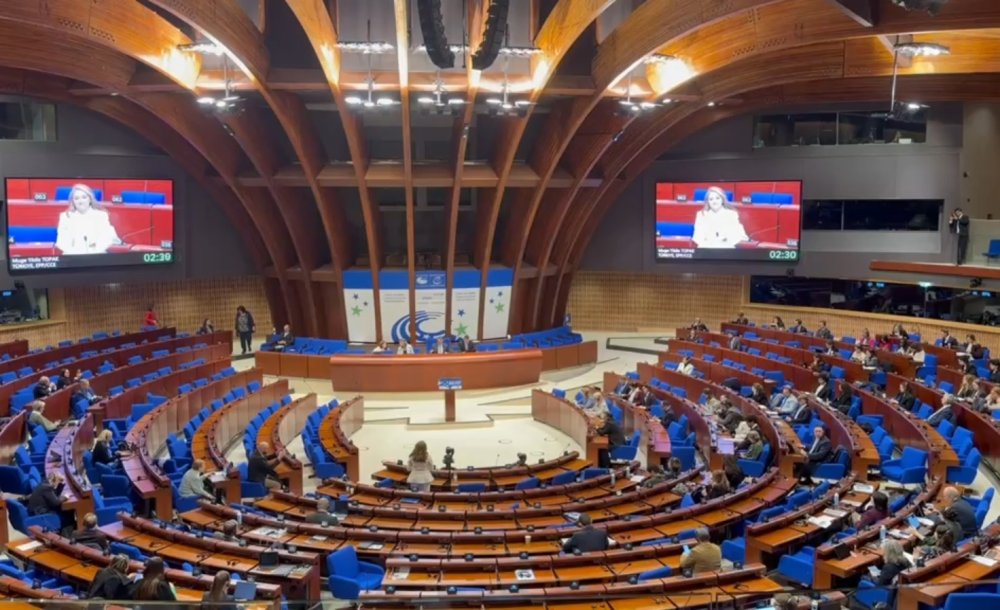 Ergene Avrupa'da Türkiye'yi Temsil Etti