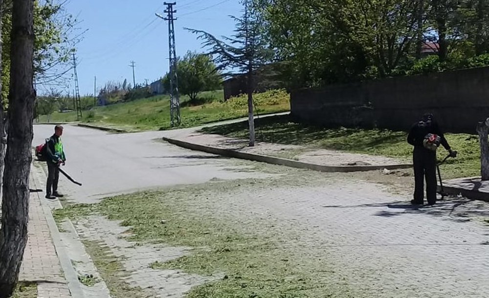 Ergene'de Yaza Hazırlıklar Tüm Hızıyla Sürüyor!