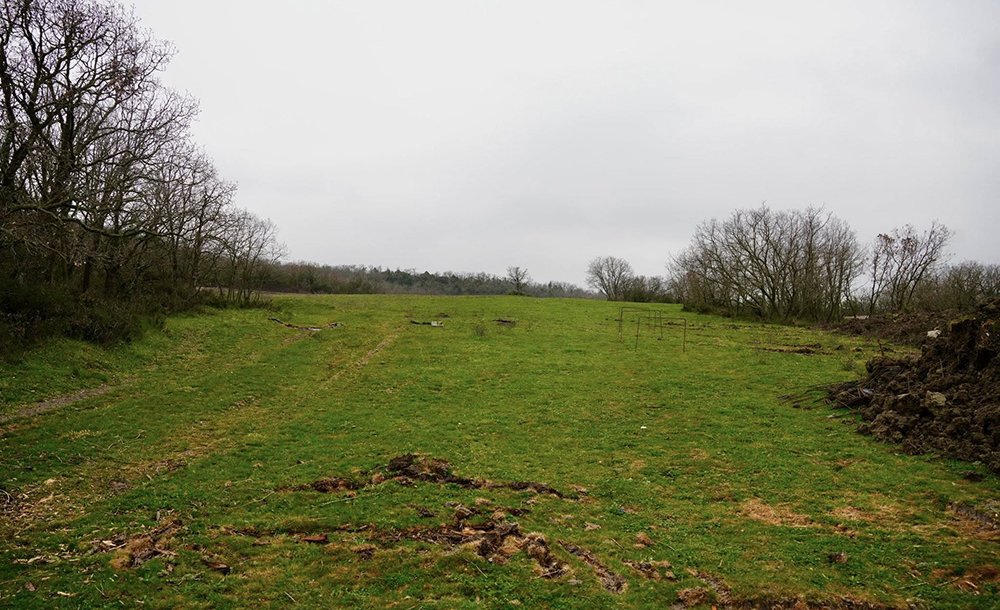 Esetçe Mevkine 1500 Köpek Kapasiteli Yaşam Merkezi 