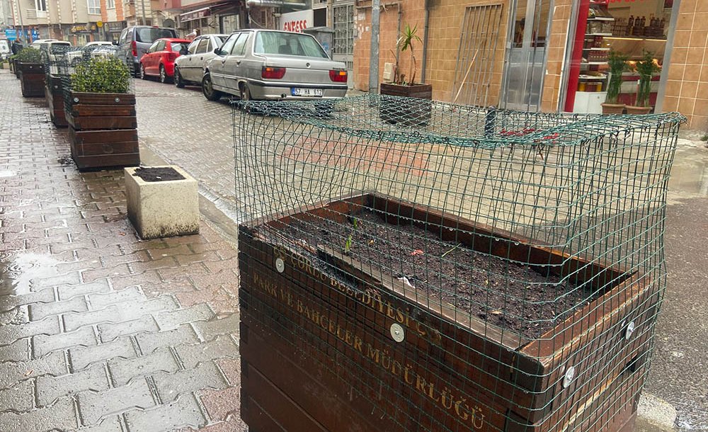 Esnaf Saksılara Çöp Atılmaması İçin Önlem Aldı 