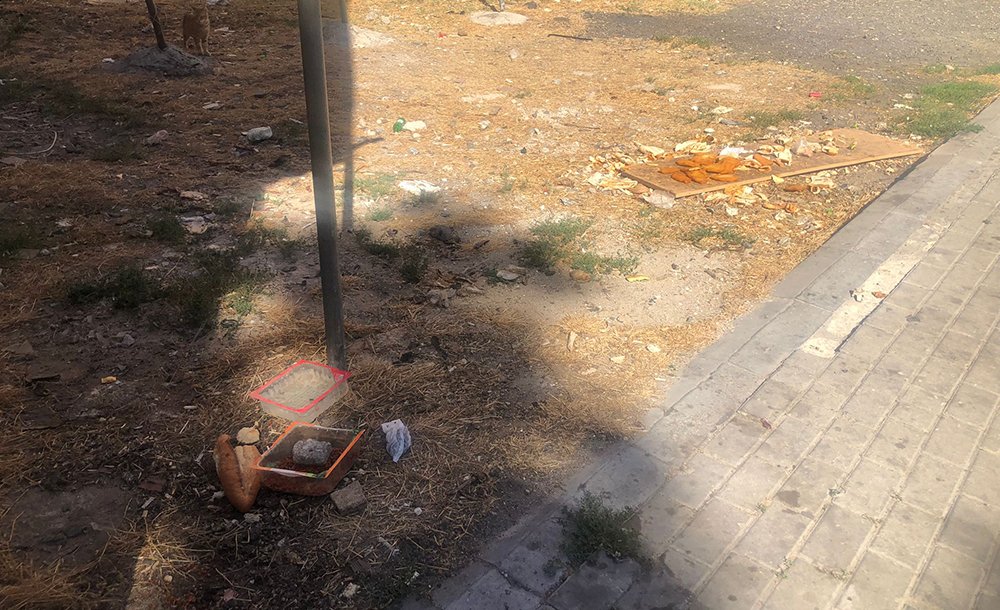 Gelişigüzel Atılan Yemekler, Çevre Sorunu Yaratıyor 