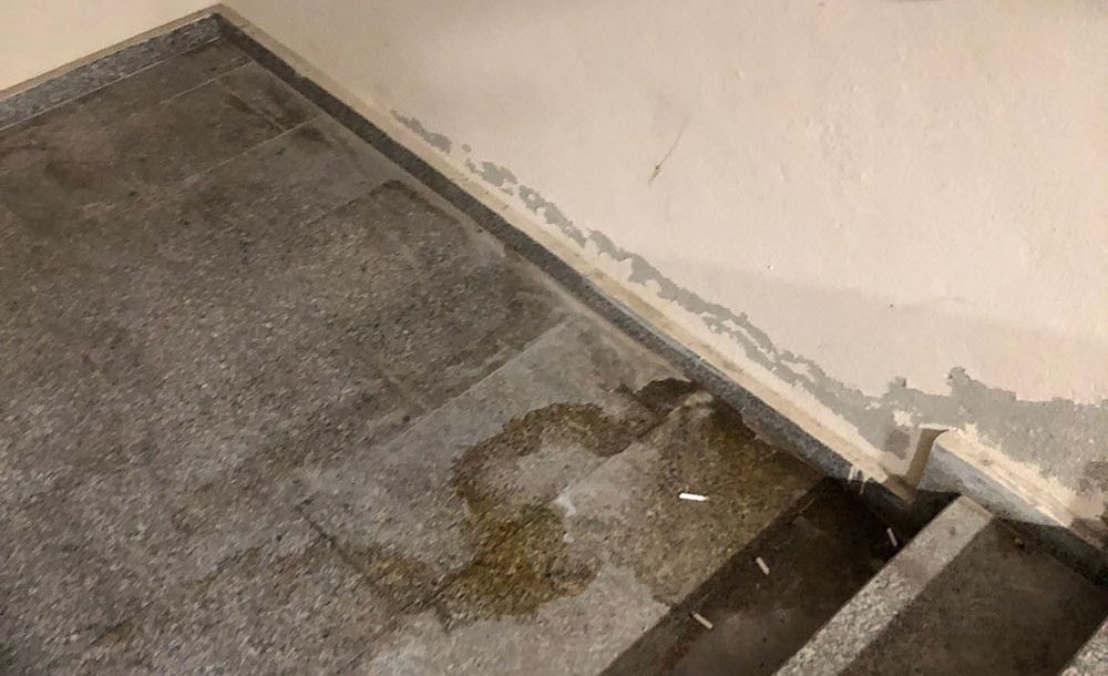 Gıda Satılan Yerde İstenmeyen Görüntüler 