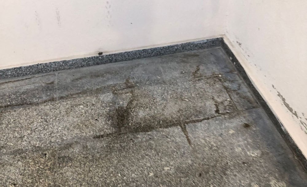 Gıda Satılan Yerde İstenmeyen Görüntüler 