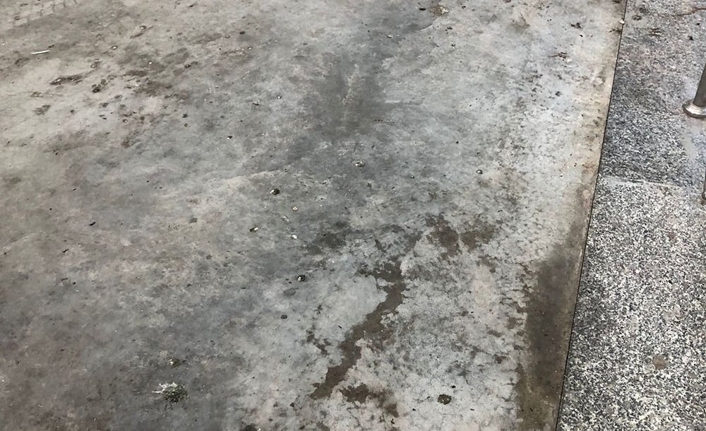 Gıda Satılan Yerde İstenmeyen Görüntüler 