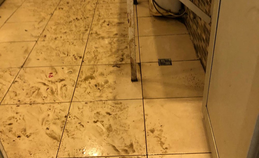 Gıda Satılan Yerde İstenmeyen Görüntüler 